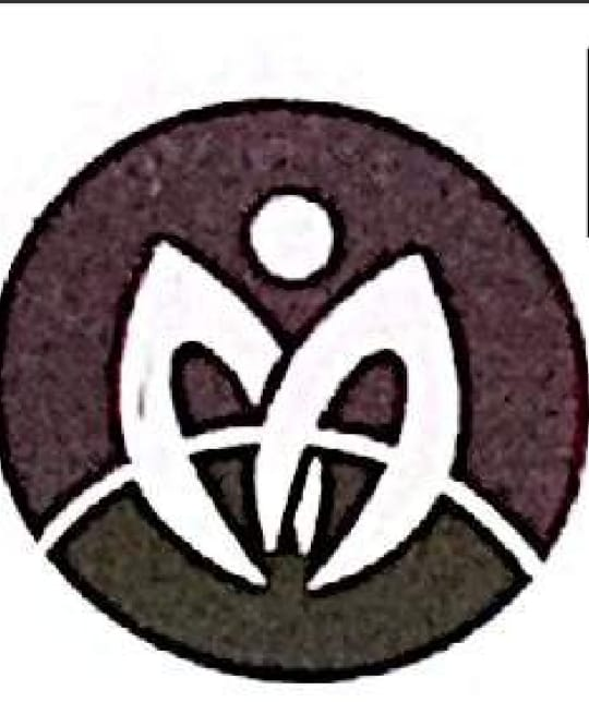 Mecury Business Solution LTD logo